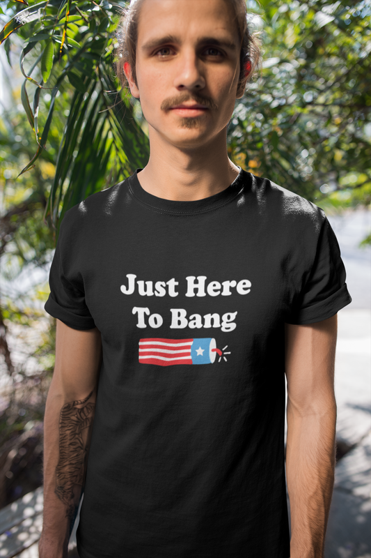 I'm just here to bang T-shirt