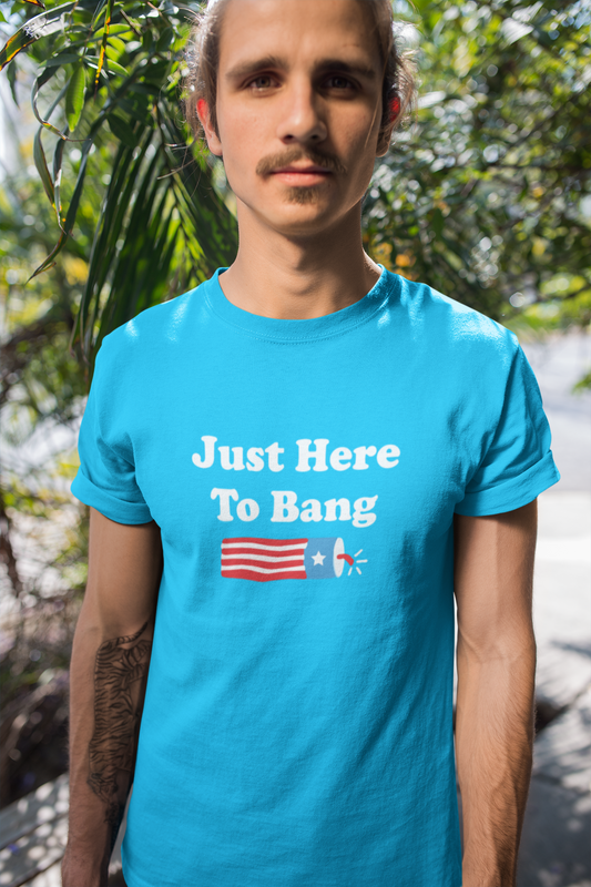 I'm just here to bang T-shirt